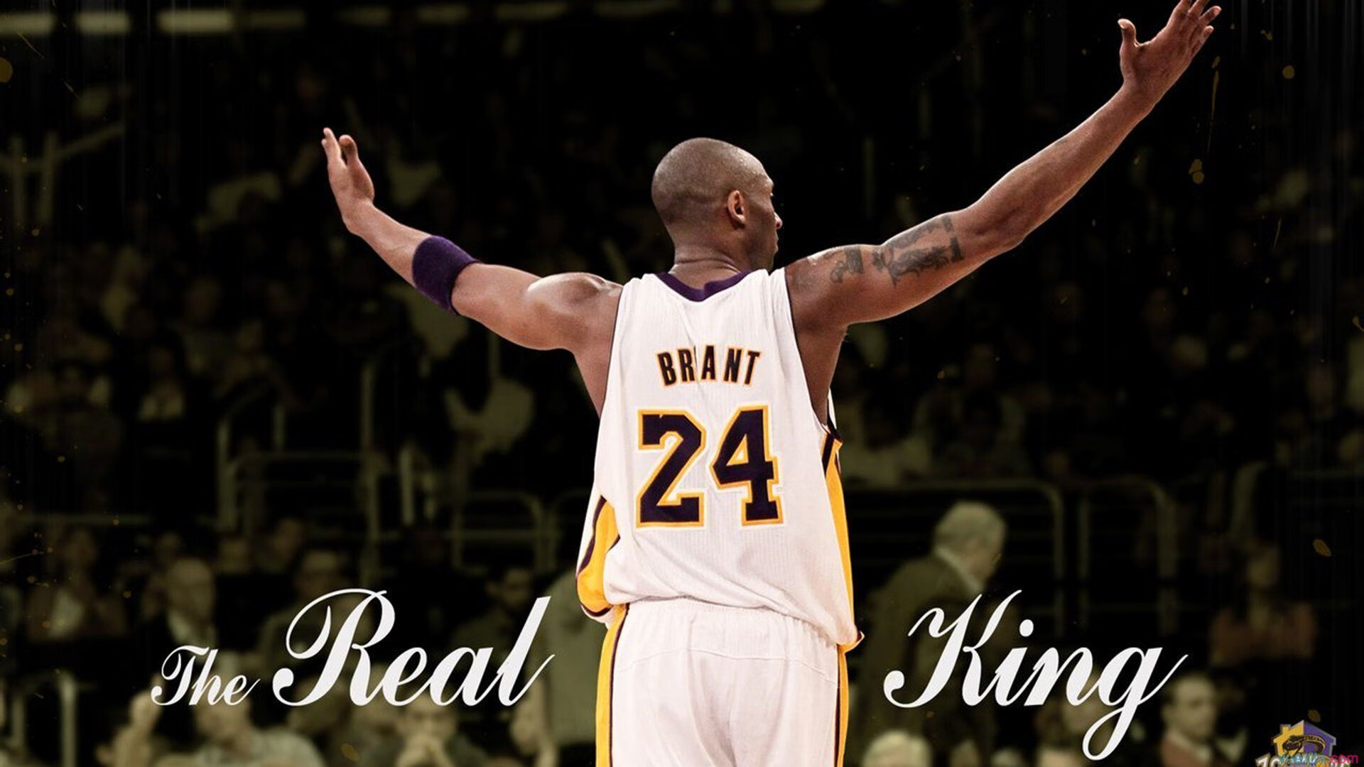 凯恩一剑封喉,摩纳哥全面压制伊朗背后的足球密码